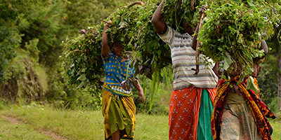 Trek autour du géant d'Afrique