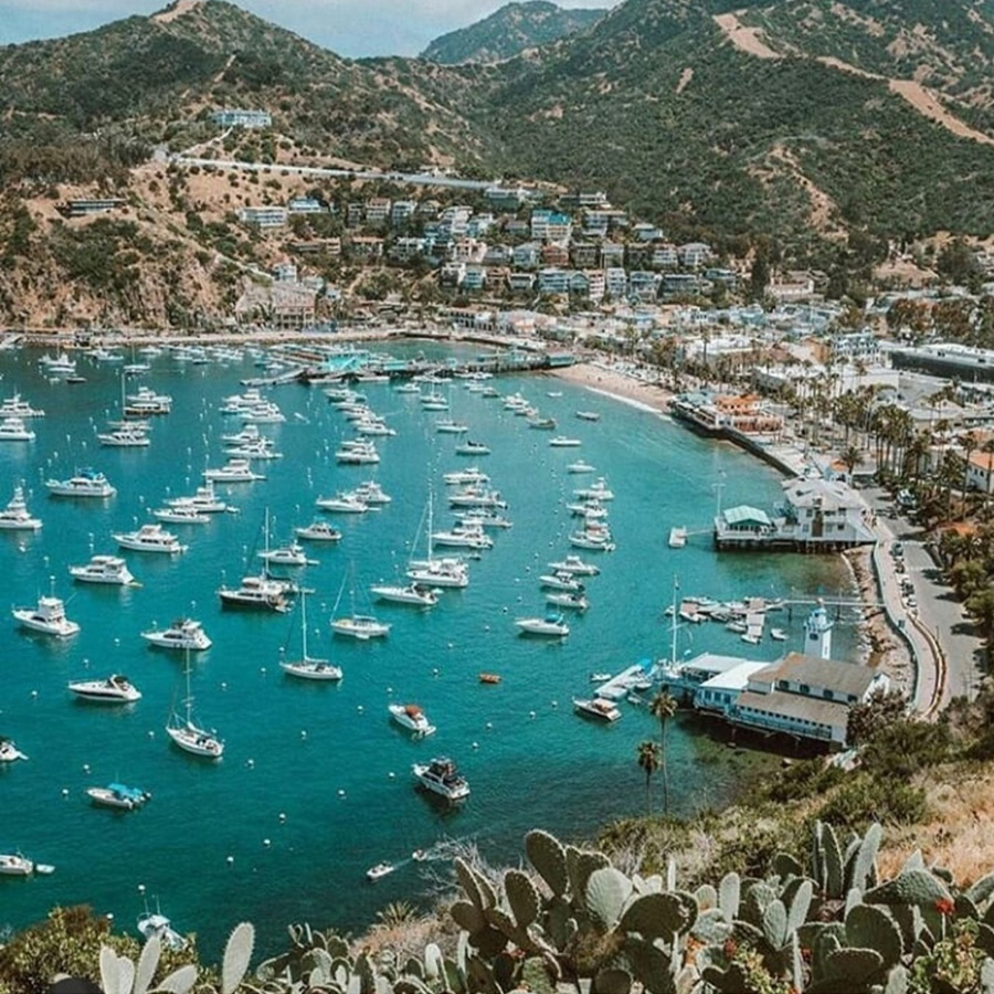 Communication et audiovisuel